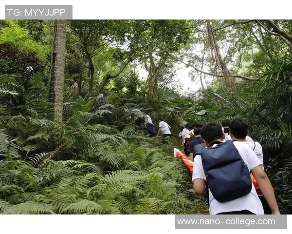 燃情绿茵巨星时刻 热血拼搏展现足球无畏激情