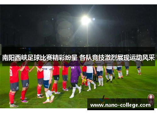 南阳西峡足球比赛精彩纷呈 各队竞技激烈展现运动风采